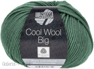 Cool Wool Big -1004 zieleń
